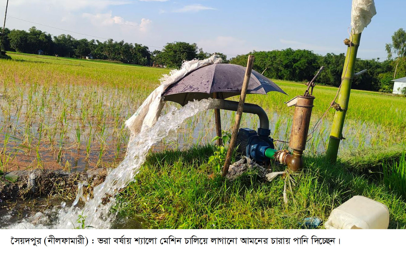 বর্ষাতেও খরায় পুড়ছে সৈয়দপুরের ফসলের মাঠ